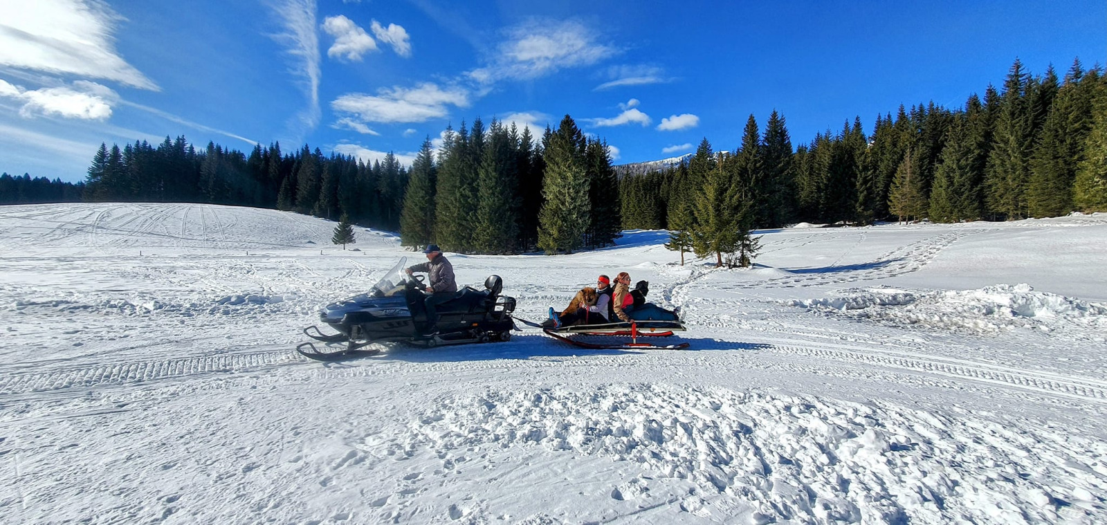 330978412_863059371467200_1790709490744479607_n