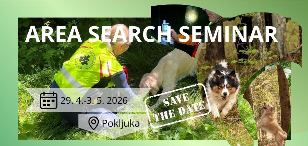 Area Pokljuka April 2026 - 1